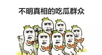 娱乐吃瓜群众歌曲大全视频,歌曲大全视频精选回顾