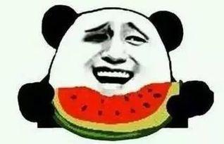 娱乐吃瓜群众歌曲大全视频,歌曲大全视频精选回顾
