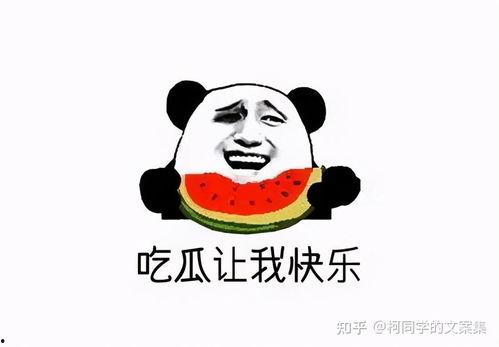 娱乐吃瓜君造谣被点名,网络谣言需警惕