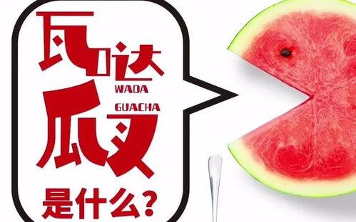 今日抖音瓜,今日瓜料盘点，揭秘网红幕后故事