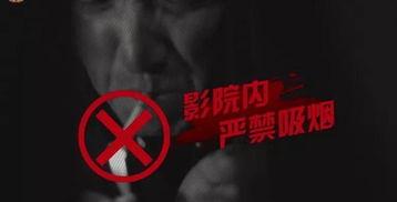 禁止吸烟电影在线观看,揭秘禁止吸烟电影背后的故事