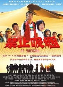 禁止吸烟电影在线观看,揭秘禁止吸烟电影背后的故事