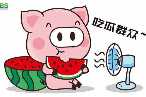 吃瓜的群众 娱乐八卦,揭秘“吃瓜群众”热追的娱乐八卦