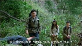 职场妄想 在线观看,揭秘现实与幻想的职场生活