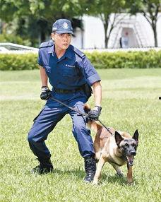 警犬巴打手机在线观看,忠诚守护，手机在线见证