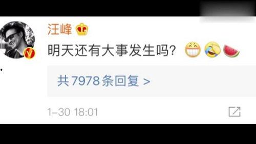 娱乐吃瓜区nga,揭秘娱乐圈幕后故事，带你领略明星们的真实生活