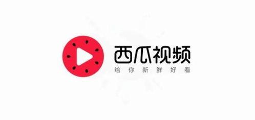 今日头条中的瓜,娱乐圈最新瓜料，明星隐私大曝光！