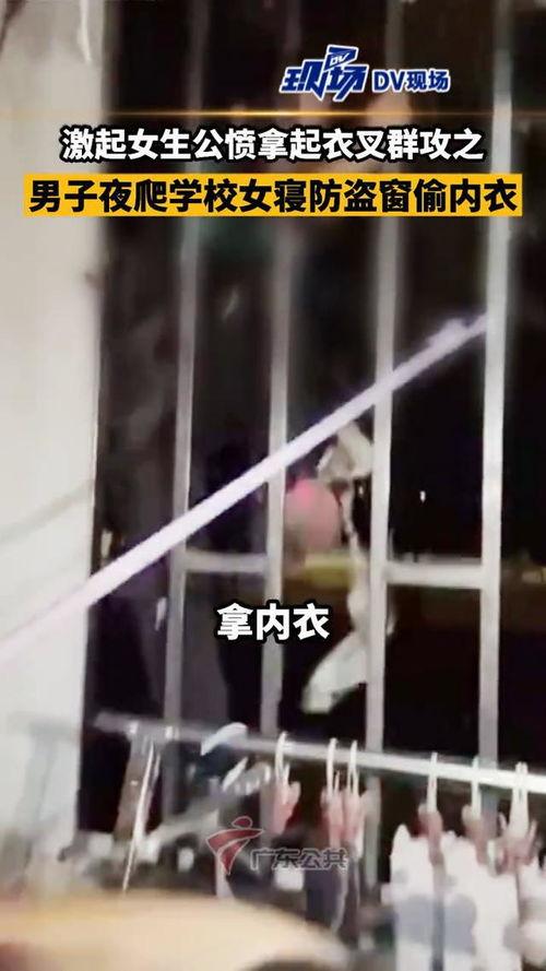 偷内裤视频在线观看,揭秘隐私泄露背后的惊悚故事