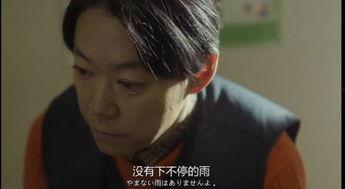 日剧出生在线观看,揭秘生命诞生的奇迹与挑战