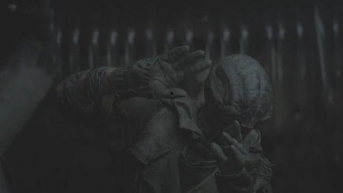 陨落星辰5在线观看,星际陨落，命运之战