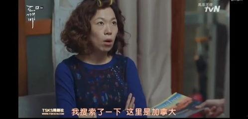 偷香在线观看,一场禁忌之恋的在线揭秘之旅