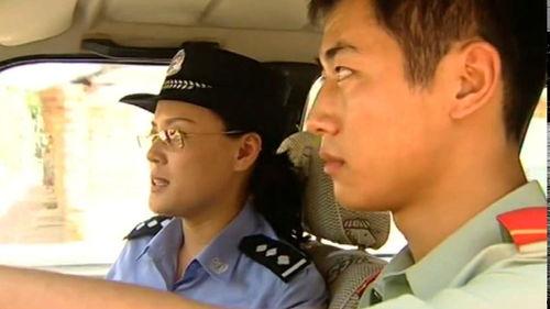 电视剧鹰与枭在线观看,权力巅峰的巅峰对决