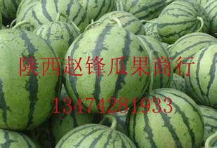 福州哈密瓜今日价格行情,价格行情一览”