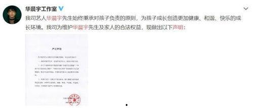 娱乐圈吃瓜专业词,娱乐圈“瓜田”风云录