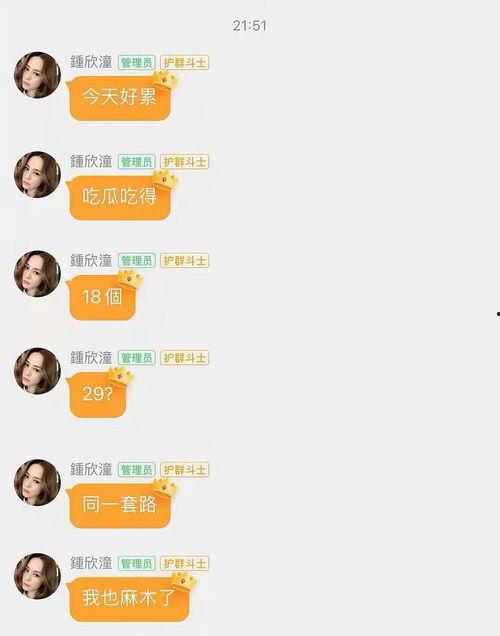 娱乐吃瓜酱点评怎么写,揭秘娱乐圈幕后故事，带你领略明星真实一面