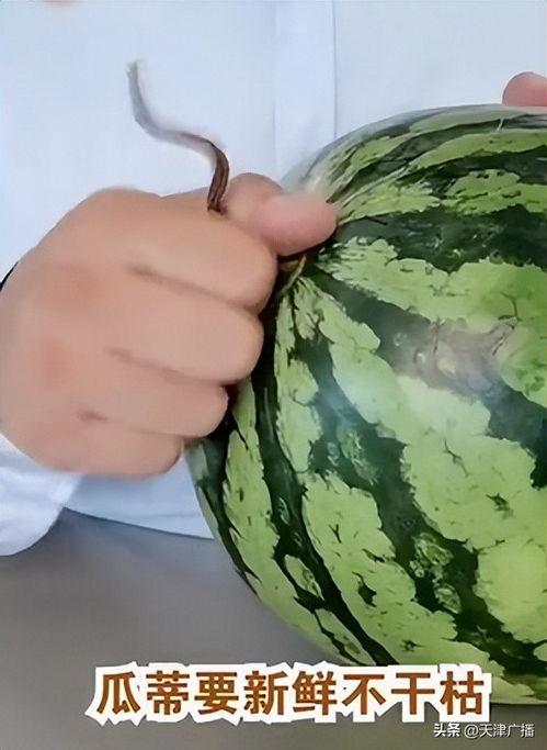 今日看瓜,娱乐圈最新热点事件大盘点