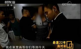 灭门在线观看搜,在线观看，揭秘家族复仇的黑暗漩涡