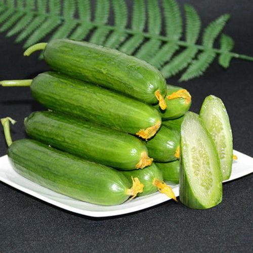 荷兰瓜今日价格,市场波动下的新鲜行情解析