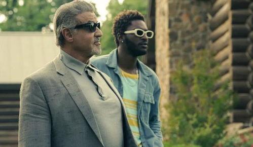 罗曼萨塔在线观看,在线观看，浪漫旋律中的情感之旅