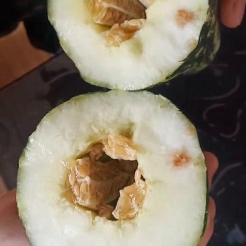 今日瓜吃瓜不信瓜,吃瓜不信瓜，真相大揭秘