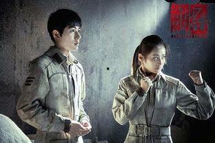 迷蝶电视剧在线观看