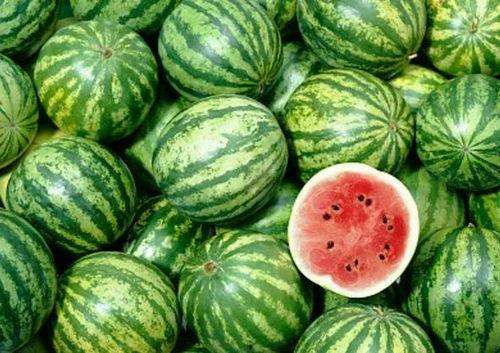 瓜吧瓜农今日吃瓜,今日吃瓜，笑谈农事生活