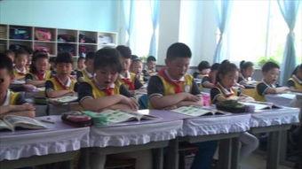 在线观看学校,开启便捷学习新时代