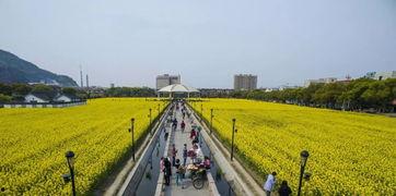 掌上瓜今日瓜沥,掌上瓜沥新鲜资讯大盘点