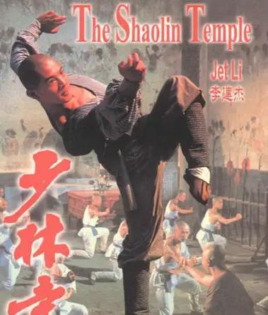 南少林电影在线观看,武林风华再现