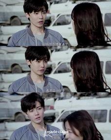 寒武纪在线观看7,7大在线观看必看科普纪录片