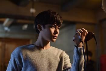 寒武纪在线观看7,7大在线观看必看科普纪录片