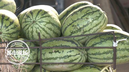 天天吃瓜今日吃瓜,今日瓜果盛宴