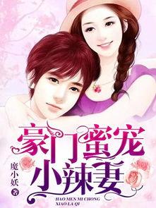 娱乐吃瓜酱妻子小说阅读,妻子背后的爱情故事