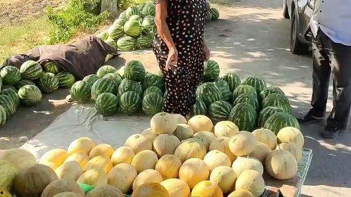 瓜姐今日吃瓜 热门吃瓜,揭秘热门事件背后的真相