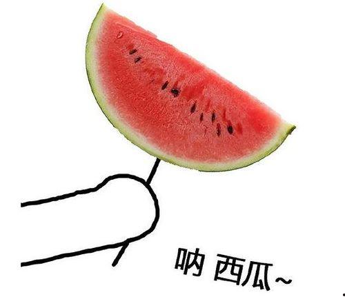 今日鲜瓜,尽享今日鲜瓜美味时光