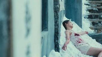 在线观看雪路,穿越冰雪的坚韧之旅