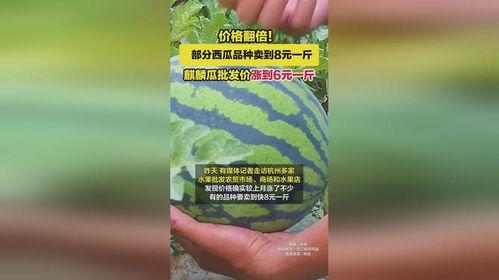 麒麟瓜今日行情,价格波动与市场动态一览