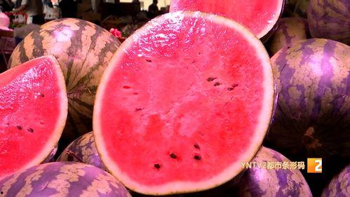 麒麟瓜今日行情,价格波动与市场动态一览