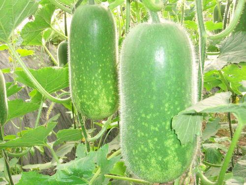 娱乐吃瓜封面图片高清