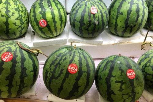 51吃瓜今日吃瓜,今日热点事件大盘点