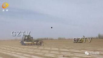 瓜州区西湖镇今日头条,今日头条聚焦乡村振兴新篇章