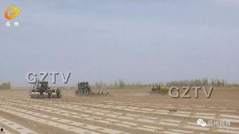 瓜州区西湖镇今日头条,今日头条聚焦乡村振兴新篇章