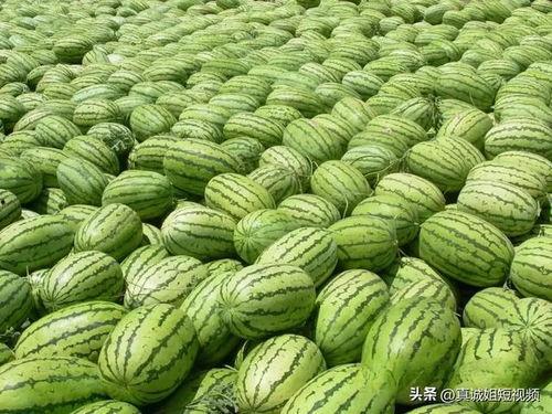 今日吃瓜热门大瓜,娱乐圈惊天大瓜，揭秘明星背后惊人真相！