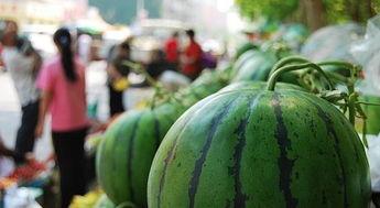 丽水今日瓜,新鲜趣事一网打尽