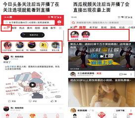 今日头条卖瓜直播