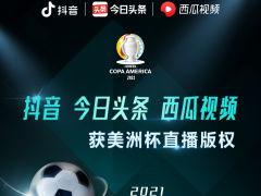 今日头条卖瓜直播