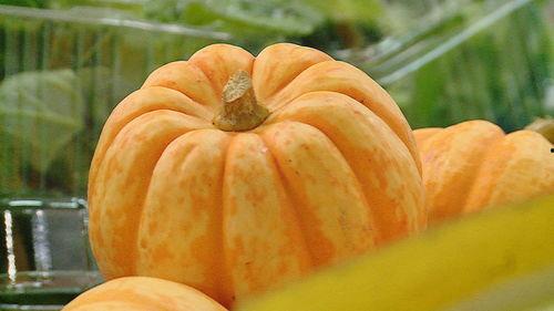 小瓜今日价格,今日行情一览