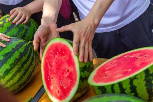 今日吃瓜成都,街头巷尾尽是新鲜“瓜事”