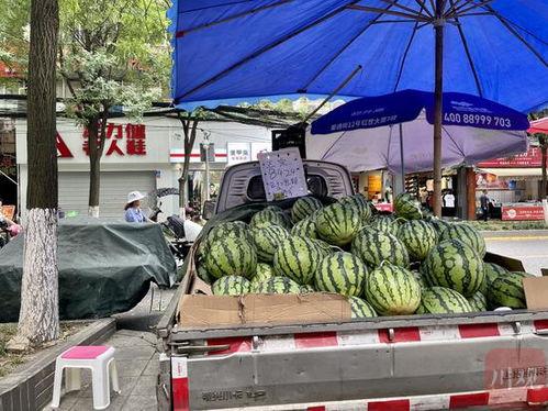 今日吃瓜成都,街头巷尾尽是新鲜“瓜事”