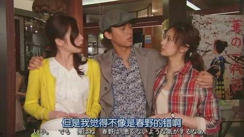 独身贵族在线观看,揭秘现代单身生活的魅力与挑战